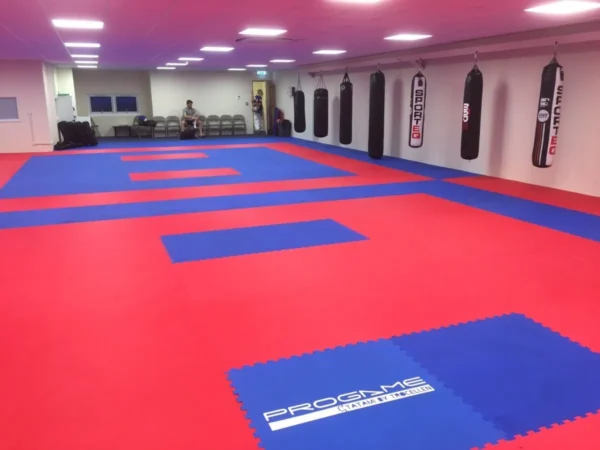 کفپوش تاتامی دو رنگ