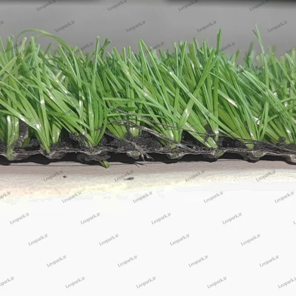 چمن ورزشی فوتبالی