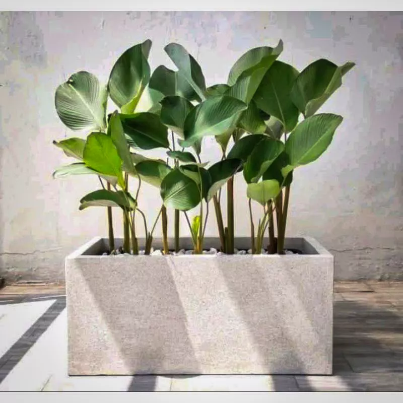 3d28f8668575fe02713be0d74475c89e-6929e3dbdea6f